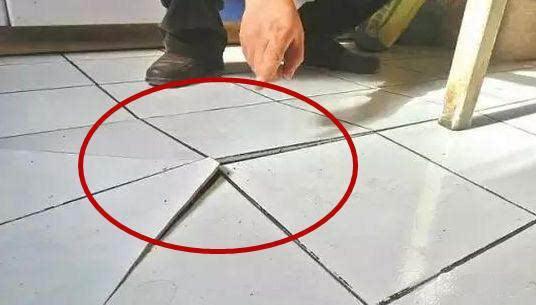 舞臺地膠地板_舞臺地膠 地板舞蹈舞蹈_地膠和木地板哪個(gè)好