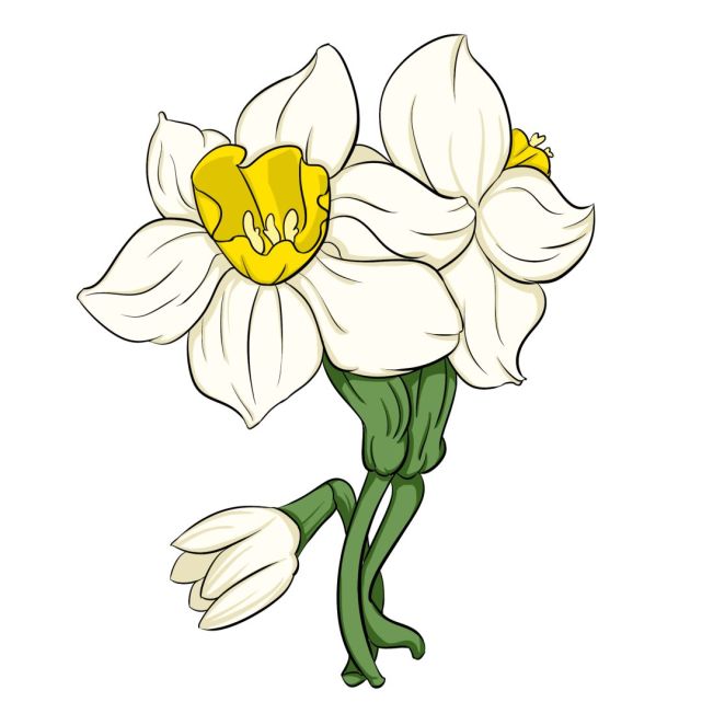 水仙报春来赏2022新春市民水仙花展就在共青森林公园