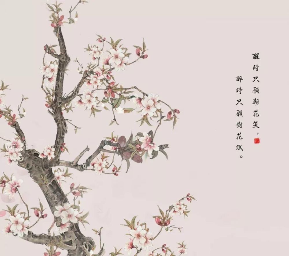 《知否知否》,唱火了李清照的《如梦令》,你应