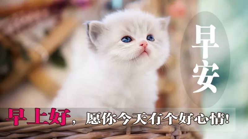 周二早上好动态图片大全温馨微信最新早晨好表情图片唯美2022