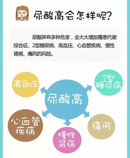 尿酸高|80％尿酸是身体“生产”的！超标的人赶快阅读这份指南
