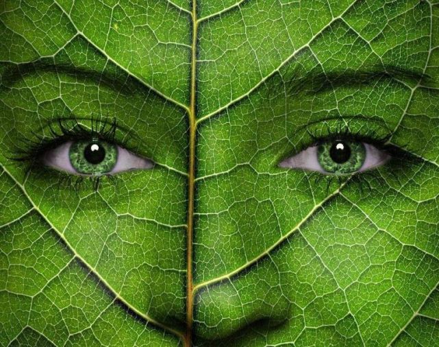 有效缓解眼部疲劳的方法以及食疗