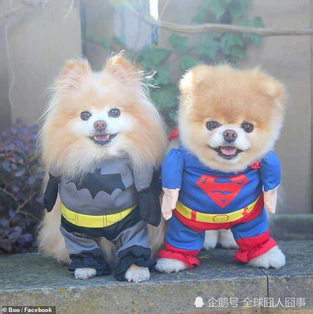 腾讯内容开放平台