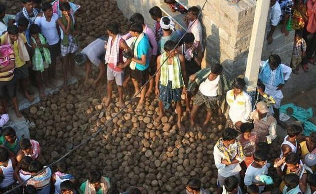 印度传统"泼粪节"万人狂欢,牛粪越多越开心,场面壮观
