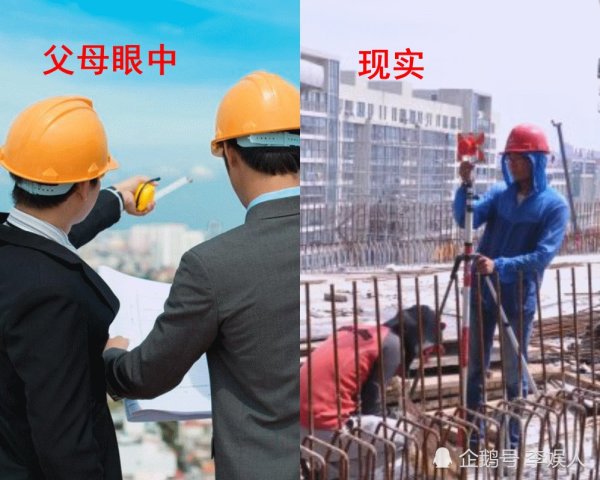 父母眼中的学完大学专业的你vs现实中的你,网友:内容过于真实