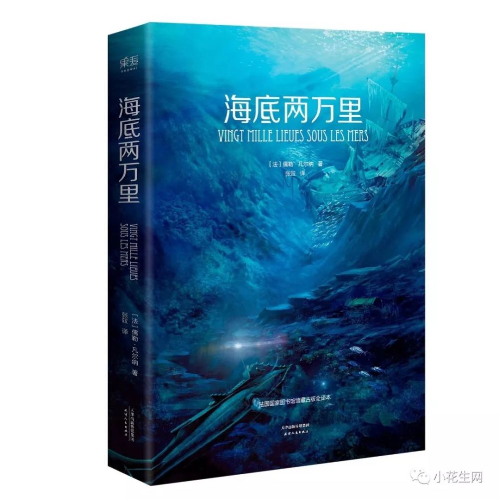 不要告诉别人（巴黎圣母院故事梗概）巴黎圣母院1000字故事梗概 第15张