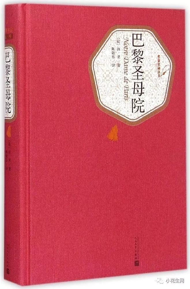 不要告诉别人（巴黎圣母院故事梗概）巴黎圣母院1000字故事梗概 第18张