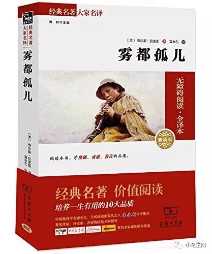 不要告诉别人（巴黎圣母院故事梗概）巴黎圣母院1000字故事梗概 第19张