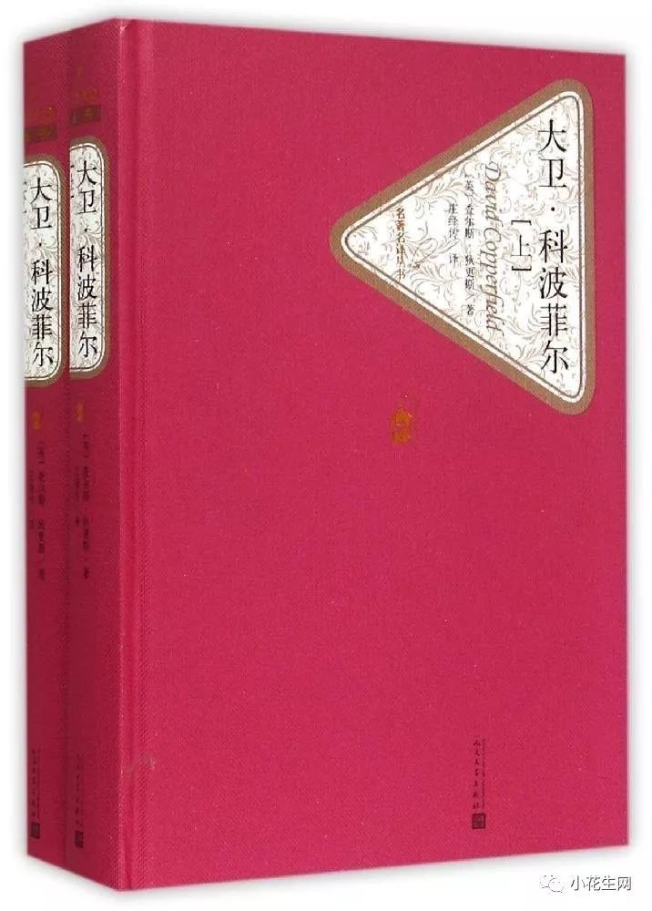 不要告诉别人（巴黎圣母院故事梗概）巴黎圣母院1000字故事梗概 第23张