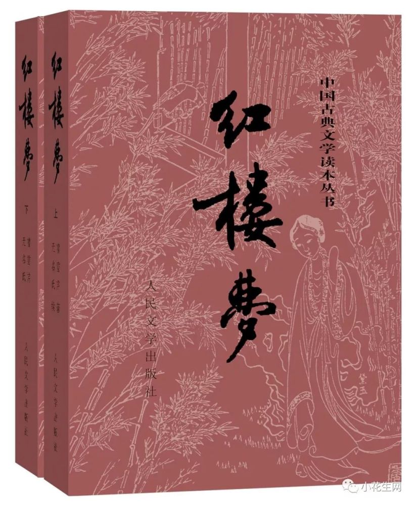 不要告诉别人（巴黎圣母院故事梗概）巴黎圣母院1000字故事梗概 第25张