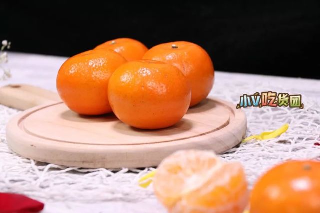 用玫瑰种柑橘?这么赞的味道只有广东有,广东人