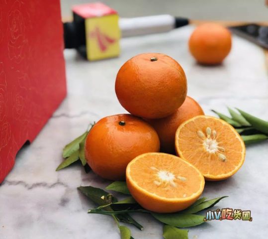 用玫瑰种柑橘?这么赞的味道只有广东有,广东人