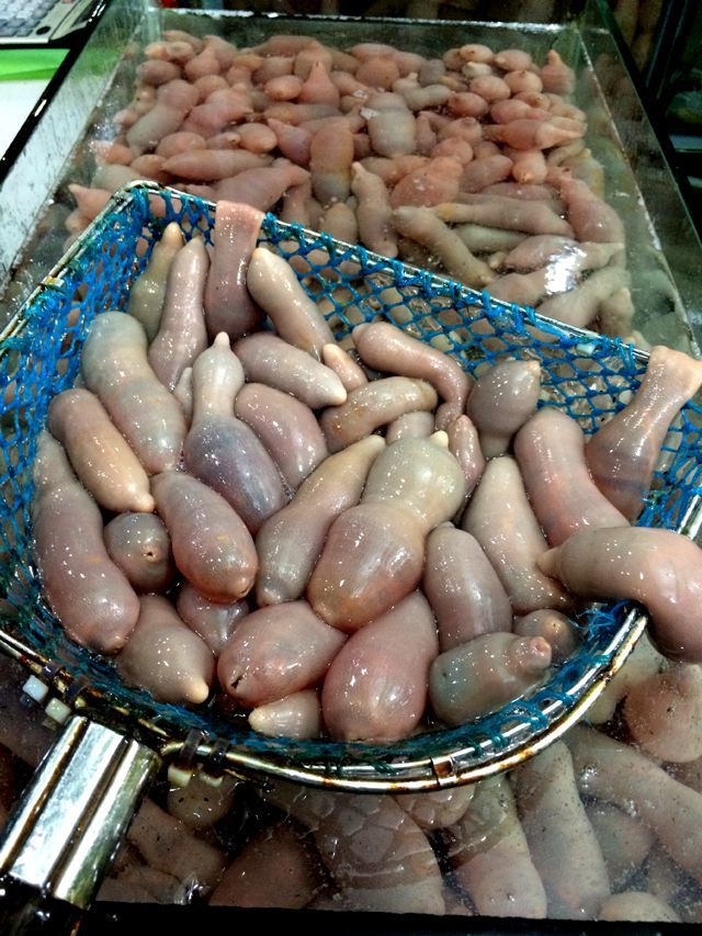 海肠,胶东渔民称"海鸡子",这种海鲜虽然外地也有,但以品质而言,渤海一