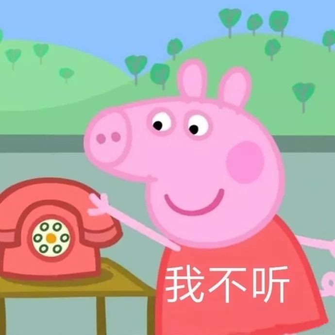 陈昱霖社交账号成大型炫富平台,私人飞机、名