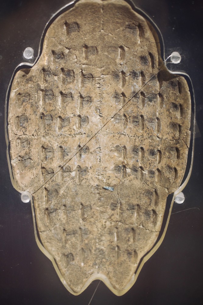 终极盘点:网红博物馆里冷门的神奇角落!以前怎