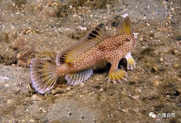 腾讯内容开放平台