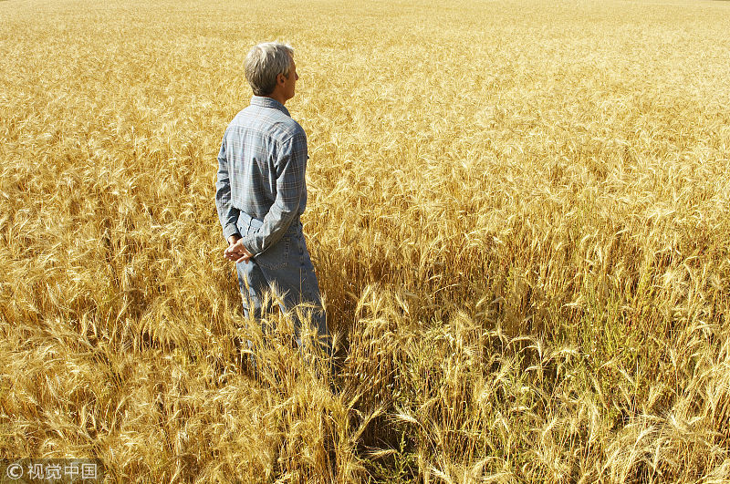 汉字|中国人为什么喜欢“福”字？从汉字角度来剖析，给您答案