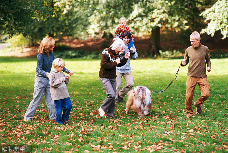 Did you go for a walk. Go for a walk. Go for a walk Park. A Family go for a walk. People go for a walk.