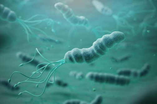 幽门螺杆菌已根治,还是反酸烧心?来看看医生怎