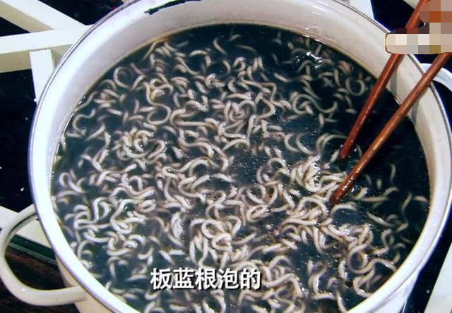 蓝色是"食欲终结者"?《爱情公寓》中板蓝根泡面让人胃口大跌!