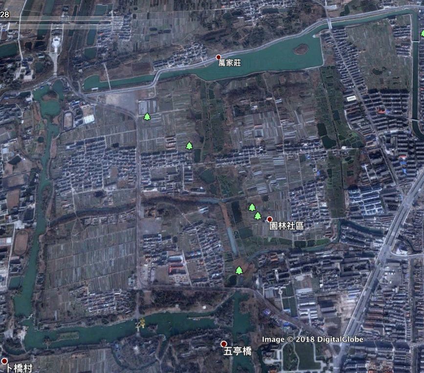 谷雨丨城管冲击考古队 扬州瘦西湖挖掘机前夹