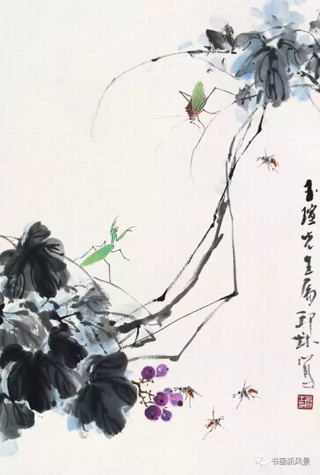 花鸟画|这位老先生的花鸟，色彩超美！