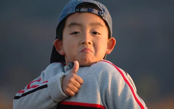 合肥理工大学排名_2019-2020合肥学院排名_全国第344名_安徽省第10名(最新