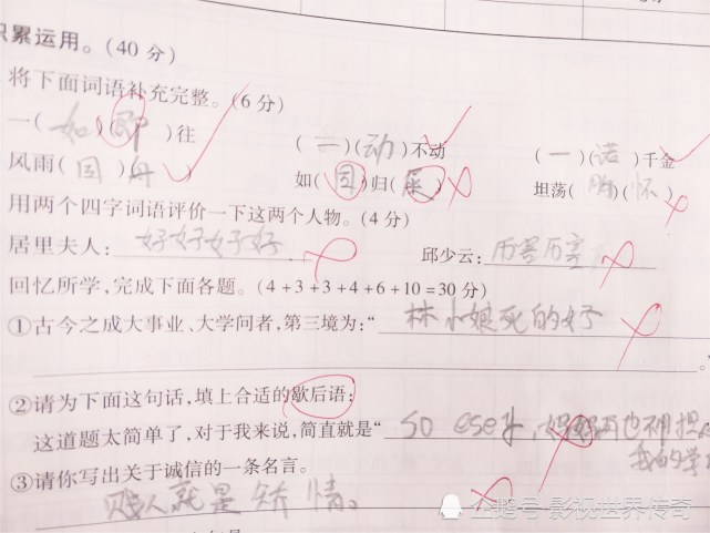 小学生爆笑作业 明兰和如兰的评价 老师气的摔课本 电视看多了