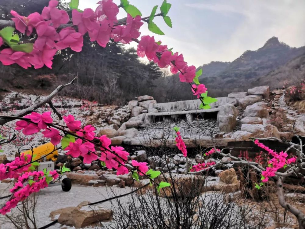 千山桃花溪谷图片