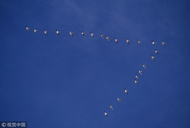 你是如何理解道家上善若水上德若谷这8个字的