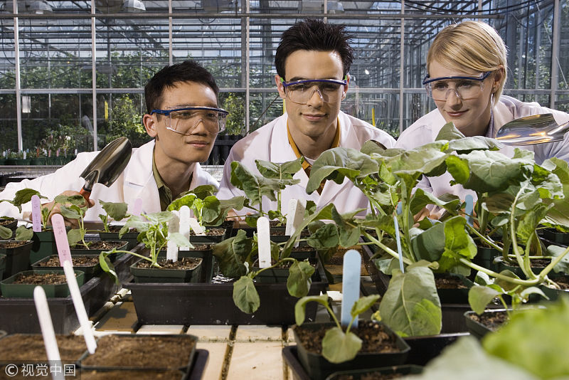 白粉病|史上最全的作物白粉病攻略