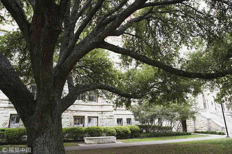 广西专科学校排名_广西专科学校2020年录取分数线60所院校招生最高投档