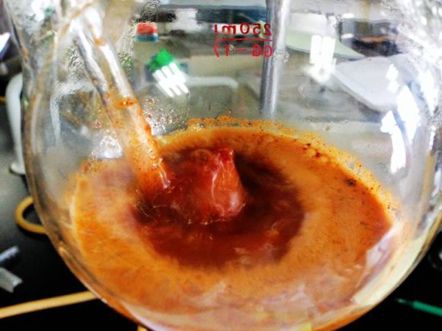 几分钟后,接液处产生了乳白色的蒸馏液,这就是传说中的肉桂油啦,接