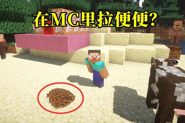 我的世界:你真的会用命令方块?别人已经在原版