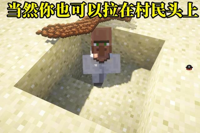 我的世界:你真的会用命令方块?别人已经在原版