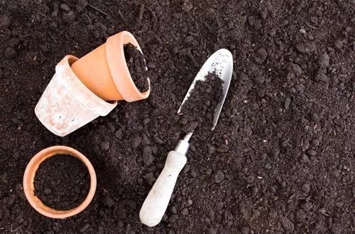 花盆土壤消毒用什么药 快来学几招花土快速消毒方法 腾讯新闻