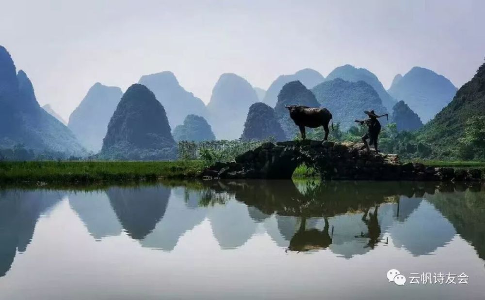 姚晓明,江西,丹枫,中华诗词,秋风,绝句,重阳