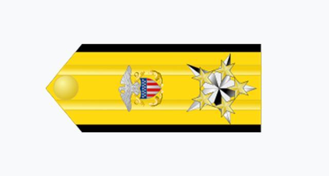 这是外国网友设计的美国海军六星上将的袖口军衔标志和竖式肩章标志.