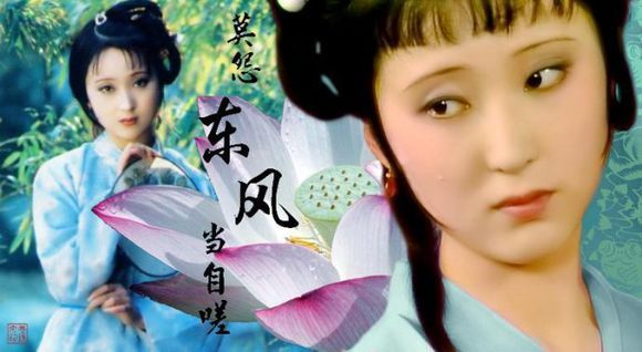 这个很少露面的男人,才是黛玉死亡的真正原因|那黛玉|贾宝玉|贾府