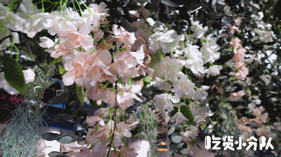 它们家最受欢迎的是娘惹叻沙和南洋咖喱味的汤底,叻沙是新加坡娘惹