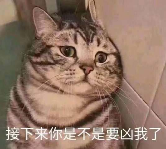 沙雕網友的沙雕表情包,搞笑我們是認真的,笑千萬別猶豫