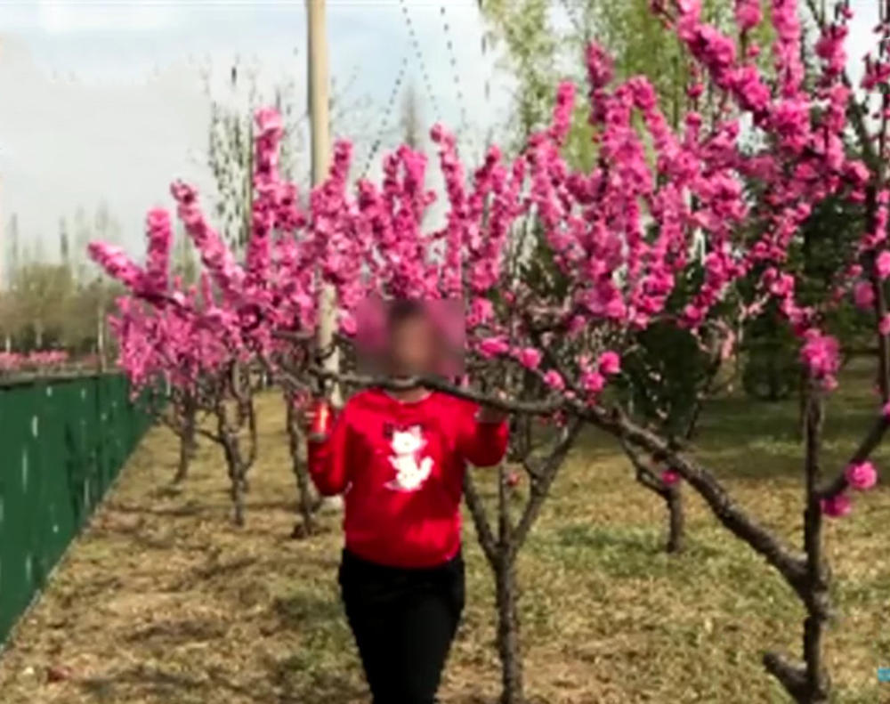 女子腹痛难忍,挂急诊称消化不良,医生:你已经