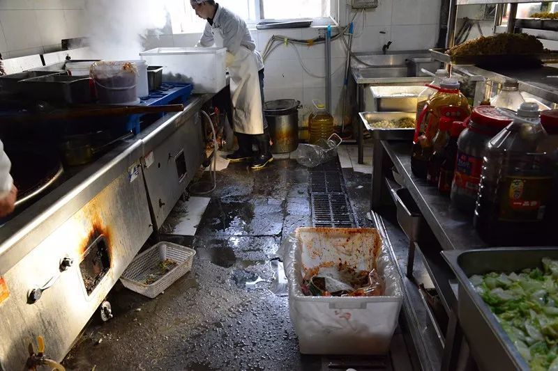 暗访黑盒饭加工点:大厨边掌勺边品尝 每盒6.5元送北京一学校