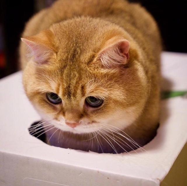 腾讯内容开放平台