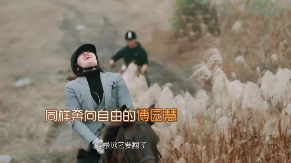 《我家那闺女》何雯娜退出,傅园慧坠马,70岁王