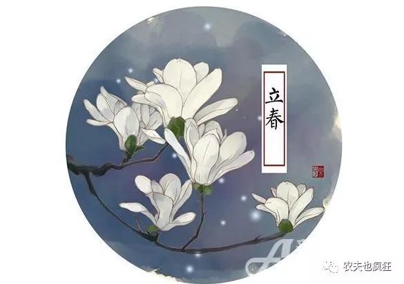 除夕立春好不好?2019年的立春为何在春节前?