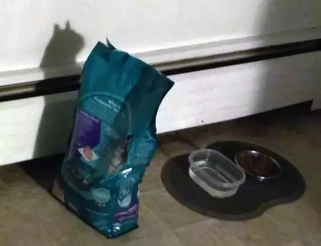 35 张不可思议的影子照片 忍不住多看两眼 腾讯新闻