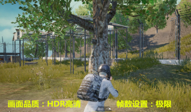 刺激战场:游戏画面怎么调?这样设置更容易发现