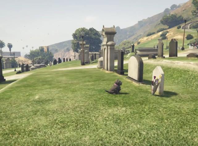 《gta5》线上模式中天天都会出现的小狗,不少玩家泪如雨下!