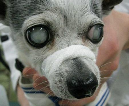 腾讯内容开放平台